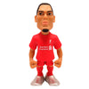 Liverpool FC Virgil Van Dijk 12cm Figurine