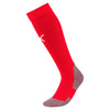 Liga Core Socks