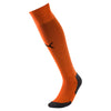 Liga Core Socks