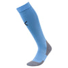 Liga Core Socks