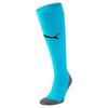 Liga Core Socks