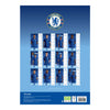 Chelsea FC Official Wall Calendar 2025