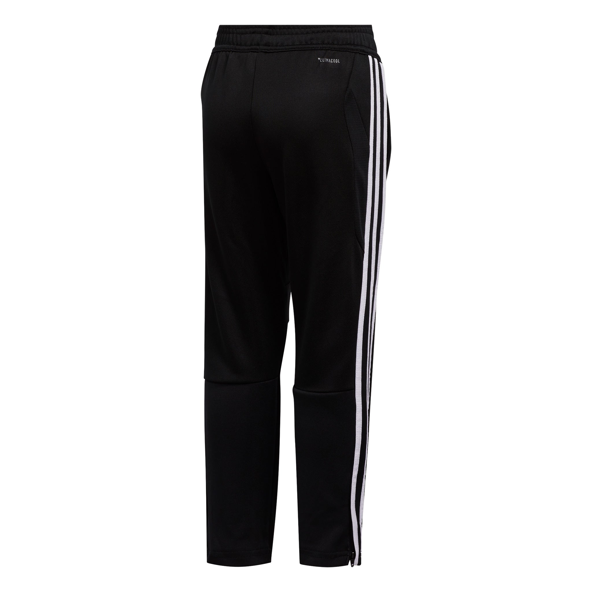 Adidas youth tiro 19 training pants best sale