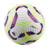 Premier League Club Elite Soccer Ball