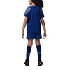 Paris Saint-Germain PSG Stadium Fourth Toddler 3-Piece Kit 2024/25