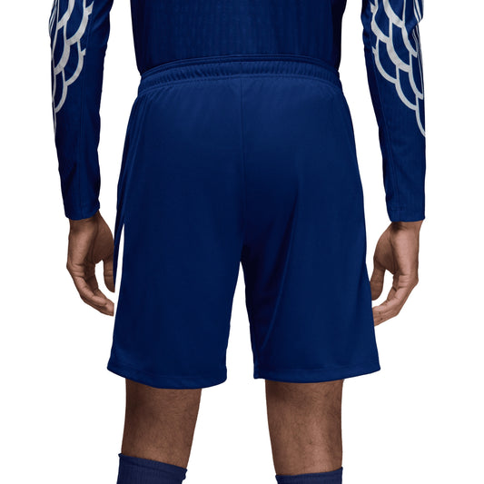 Paris Saint-Germain PSG Strike Fourth Dri-FIT Knit Shorts 2024/25