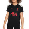 Liverpool FC Strike Special Edition Dri-FIT Junior Short-Sleeve Knit Top 2024/25