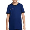 Academy Dri-FIT Junior Soccer Top