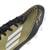 F50 Club Messi Junior Flexible Ground Cleats