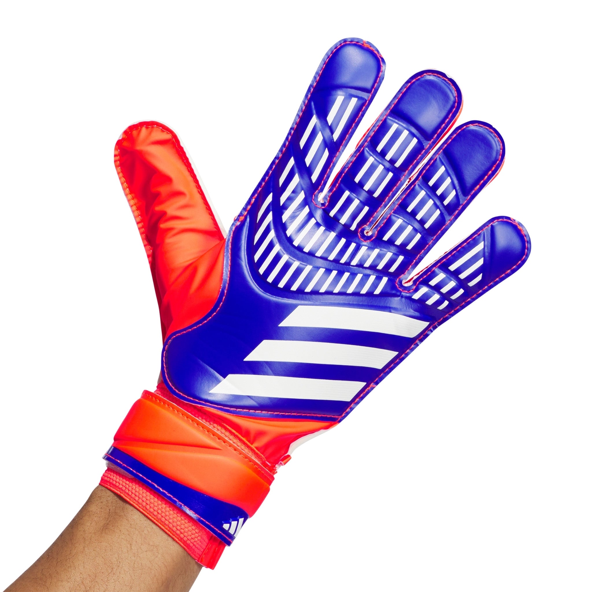 Predator training goalkeeper gloves online