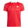 Manchester United FC Terrace Icons Jersey 2024/25