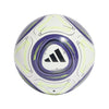 Messi Training Ball