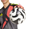 Predator Competition Goalkeeper Gloves