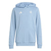 Argentina AFA 50th Anniversary DNA Junior Hoodie 2024/25